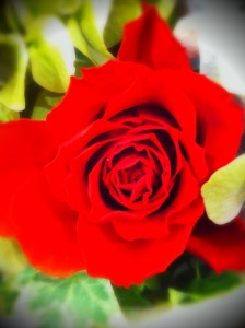img_83631