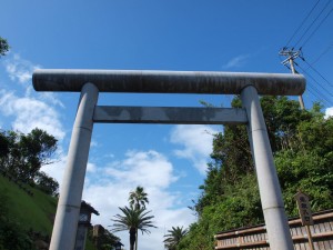 p8042002