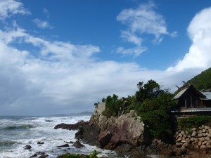 p8042005