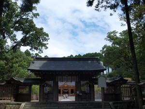 p8042032