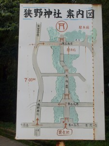 p8042045