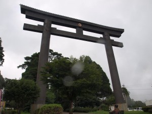 p8042081