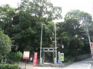 img_0005