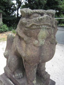 img_0008 img_0008