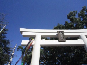 img_00382