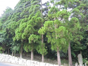 img_0040