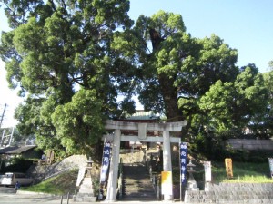img_0063