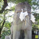 img_0070 img_0070