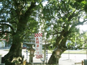 img_00711