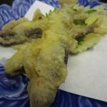 img_0092 img_0092