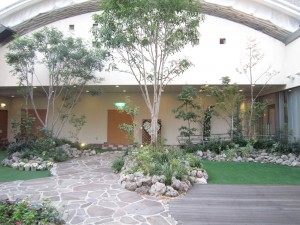 img_1533