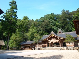 p9092271