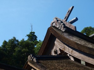p9092309
