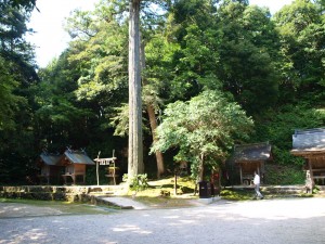 p9092311