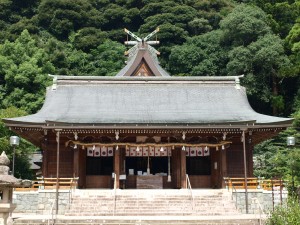 p9092353