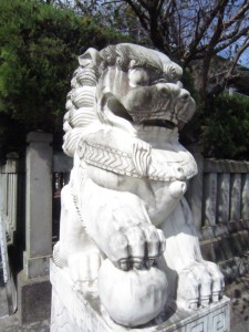 img_0005 img_0005