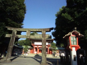 img_0084