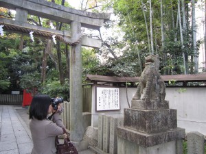 img_00091