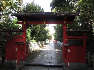 img_00491