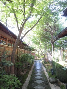 img_0062 img_0062