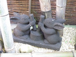 img_0063 img_0063