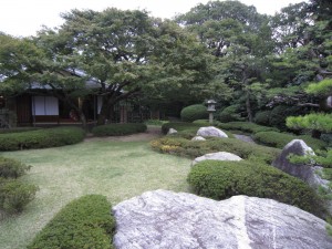 img_00701