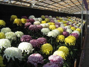 img_0076 img_0076