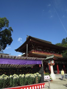 img_0077 img_0077