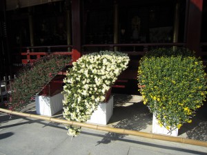 img_0078 img_0078