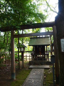 pb082464