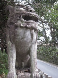 IMG_0075