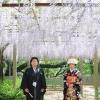 View the image: daisuke-amp-yuki-028