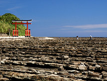 青島神社