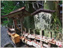 高千穂神社