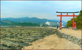 青島神社